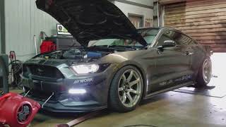 S550 Comp cam dyno [upl. by Gnouhp]