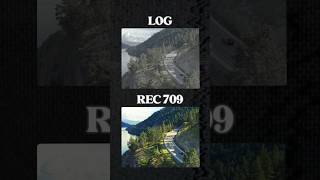 LOG VS REC709 Video  Whats The Difference [upl. by Claudine78]