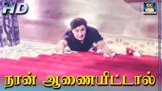 Naan Aanaiyitaal MGR Song HD  நான் ஆணையிட்டால் Enga Veettu Pillai  Vaali MGR  Philosophy Song [upl. by Nottirb697]