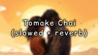 Tomake Chai Title Track slowed  reverb  Arijit Singh  Best Slowed Reverb  GKe Lofi  SVF [upl. by Middlesworth]