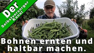 Bohnen ernten und haltbar machen [upl. by Herzen]