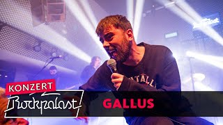 Gallus live  Eurosonic Festival 2023  Rockpalast [upl. by Schinica105]