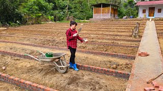 9 days of building a garden with bricks sand and cement  farm construction  Bàn Thị Diết [upl. by Dygal96]