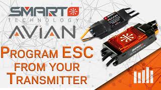 Avian Smart ESC Setup  How to Program ESC and Setup Thrust Reverse from your Transmitter [upl. by Ivzt]