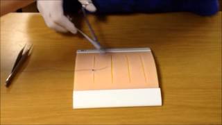 Basic Suturing Techniques [upl. by Robbi]