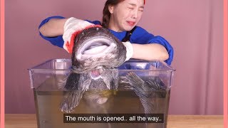 Ssoyoung fighting with her food for 11minutes straight 🦞 [upl. by Tearle]