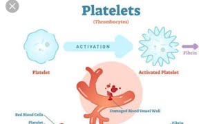 Platelets Properties and Functions Thrombocytopenia amp Thrombocytosis [upl. by Seugram]