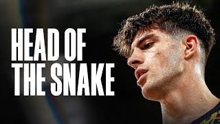 NBL25 Dream Big  The Head Of The Snake [upl. by Sitelc]