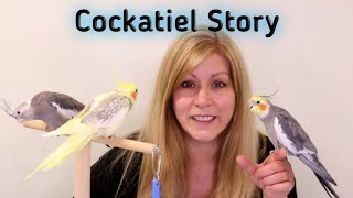 My Cockatiel Story  My Cockatiel Update Story [upl. by Femmine300]