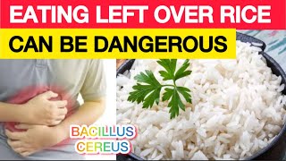 How Eating Left Over Rice Can Lead To Food Poisoning  Death [upl. by As]