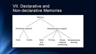 Cognition Lecture 5 1 Introduction to Longer Term Memories [upl. by Holder]