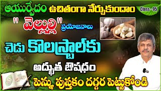 Learn Ayurveda  Free Classes 95  Garlic Benefits  How to Reduce Cholesterol  B Anjaneya Raju [upl. by Haugen]