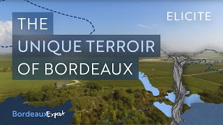 The Unique Terroir of The Bordeaux Wine Region [upl. by Nevad838]