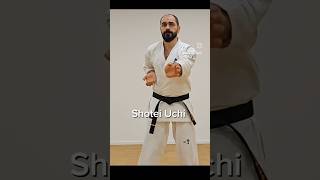 Shotei Uchi  Punches  Basic Technik ضربة اليد المفتوحة  Shotei  أساسيات الكيوكوشن كاراتيه 💪 [upl. by Blatt]