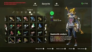 The Legend of Zelda BotW  Guide Sauterelles Enduro  Ce que femme veut [upl. by Nuli]