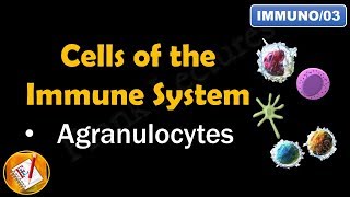 Cells of the Immune System PART II  AGRANULOCYTES FLImmuno03 [upl. by Clemmy12]