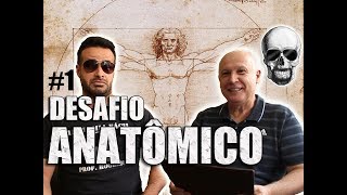 Conheça a ORIGEM de 8 TERMOS ANATÔMICOS  DESAFIO ANATÔMICO 1  Anatomia Humana [upl. by Gardia506]