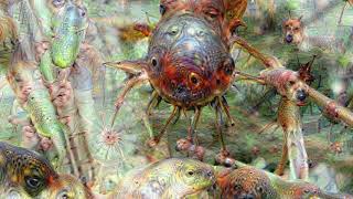 Trippy Insects  Google Deep Dream AI [upl. by Ailesor]