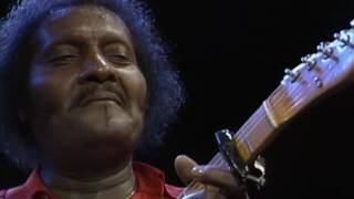 Albert Collins  quotThe Things That I Used To Doquot Live from Austin TX [upl. by Eilsehc]