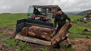 Holztransport mit Goldoni Traktor [upl. by Simpkins]