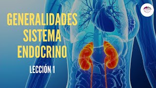 1 GENERALIDADES DEL SISTEMA ENDOCRINO FISIOLOGÍA DEL SISTEMA ENDOCRINO [upl. by Ynohtnaleahcim]