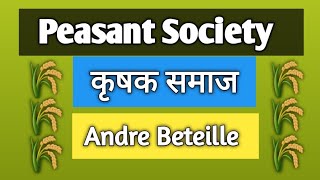 Peasant Society कृषक समाज Of Andre Beteille  आंद्रे बेतेइ  sociology Hindi amp English Medium [upl. by Bourn]