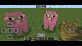 many ek pink sheep dhund LI [upl. by Negroj]