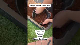 Easy Chunky Soil Mix pottingmix aroids plantlover plantparenting cococoir [upl. by Adnorahs789]