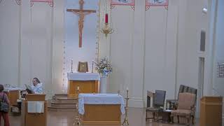 September 1 2024 at 600 am Catholic Mass from Our Lady of Peace in Vacherie LA [upl. by Bashemeth]