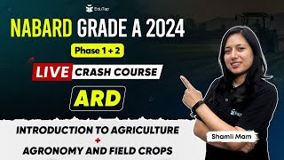 NABARD Grade A 2024 Crash Course  NABARD Online Classes  NABARD Phase 1 amp 2 Syllabus Preparation [upl. by Lynnelle743]