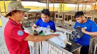 RABBIT Farming Kasama rin sa Animal Production  Ruminants National Certification [upl. by Schoening1]