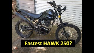 Hawk 250 MODS and Top Speed Run Links in description [upl. by Azaleah905]