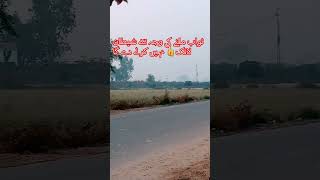 Qari Noreen Siddique ll by liaqat village ll islamicvideo tilawatequran village viralvideo [upl. by Eislek]