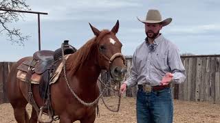 Ben Baldus Hackamore vs Snaffle [upl. by Casabonne751]