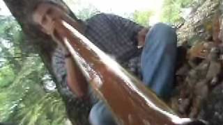 DIDGERIDOO october rust [upl. by Arekat]