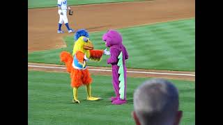 Famous Chicken battles Barney in a danceoff [upl. by Zahavi]