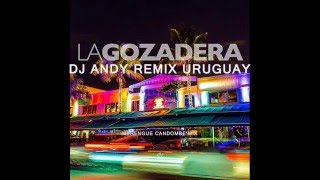 LA GOZADERA REMIX 2016 DJ ANDY [upl. by Eniksre74]