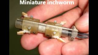 Single actuator Earthworm and Inchworm robots [upl. by Aiykan]