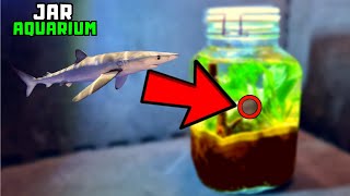 I turned a jar into an aquarium THIS Happened [upl. by Kralc]