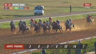 Live Hippodrome « MEKNES »  Courses du « 05122024 » [upl. by Jerrilee]