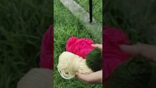 Woollen hat  beautiful cap trending art wildcat viralvideo nature shorts shortvideo video [upl. by Allicserp875]