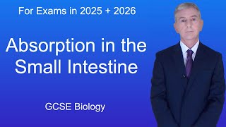 GCSE Biology Revision quotAbsorption in the Small Intestinequot [upl. by Groos]