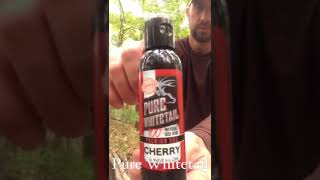 Pure Whitetail Hunting Scents Review [upl. by Seldon]