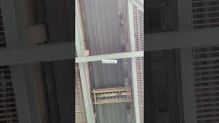 Conveyor conveyor beltconveyor safety trending shorts viralvideo ytshorts short shortvideo [upl. by Neeuq362]