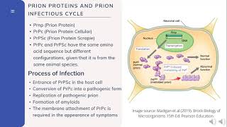 Viroids amp Prions Group 6 Biology 120 EFG [upl. by Leiria354]