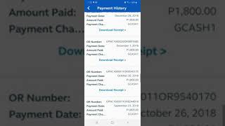 How to download official receipts of Globe payments using GlobeOne App [upl. by Aisatsan]