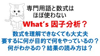 Whats 因子分析？：要するに何をするためにどんなことをしているのか？結果の読み方は？ [upl. by Mufinella485]