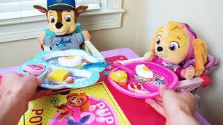 खेल के मैदान में Paw Patrol Skye और चेस का मजेदार दिन [upl. by Abercromby491]