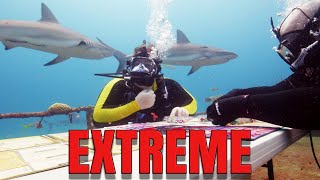 Extreme Board Gaming™ With Sharks  Above Board [upl. by Nahrut]