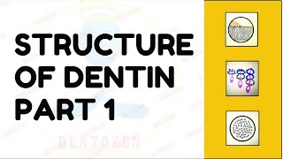 Dentinal Tubules  Dentin Histology  Structure of Dentin [upl. by Teodoor]